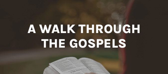 A Walk Through the Gospels Course image