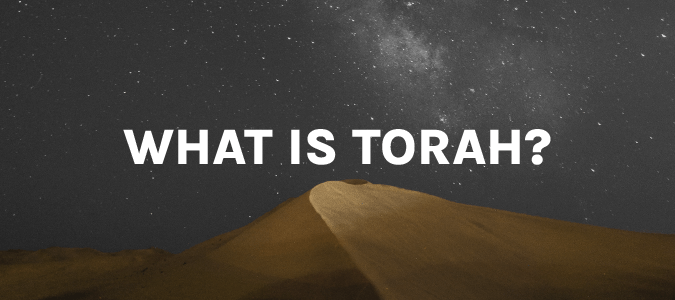 What is Torah Course image